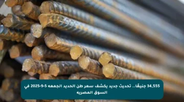 34,555 جنيهًا.. تحديث جديد يكشف سعر طن الحديد الجمعة 5-9-2025 في السوق المصرية